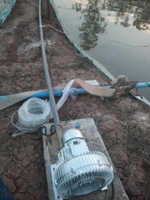 魚塘增氧中羅茨風機與高壓風機區(qū)別